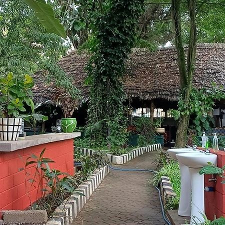 Ibrahim Garden Hostel Arusha Ngoại thất bức ảnh